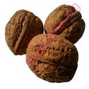 walnut (Oops! image not found)